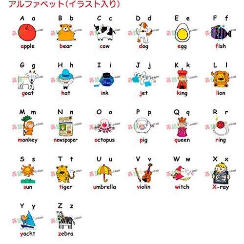 新作商品 えらべる フラッシュカード 英語 ラミネート加工 Flashcards イラスト入り ハガキ カード アルファベット 単語帳 単語カード Www We Job Com