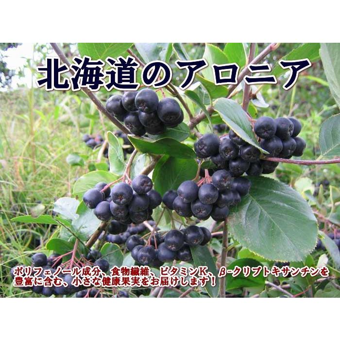 【北海道産】アロニアジュース　【ポリフェノール】 |  | 01