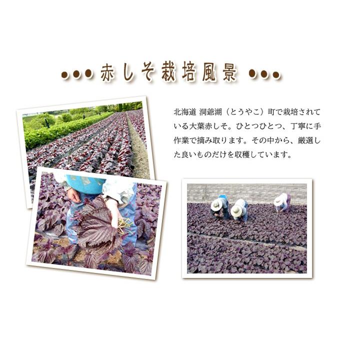 とうやの赤しそジュース【紫蘇】 |  | 03