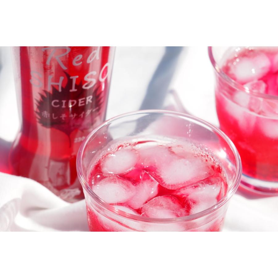 とうやの赤しそサイダー　230ml×24本　【全国送料無料】 |  | 01
