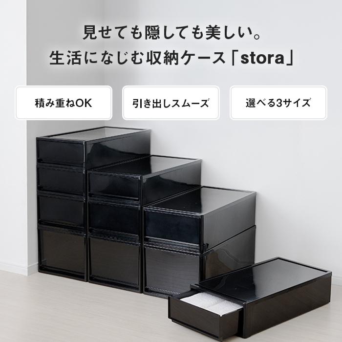 JEJアステージ 収納ケース 収納ボックス 衣装ケース プラスチック収納