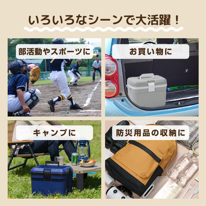 JEJアステージ 限定カラー クーラーボックス 小型 13L かわいい