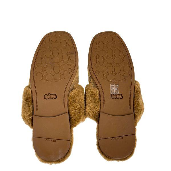 COACH スエード レンミュール COACH（コーチ） 国内発送 スリッパ レディース ミュール シグネチャー