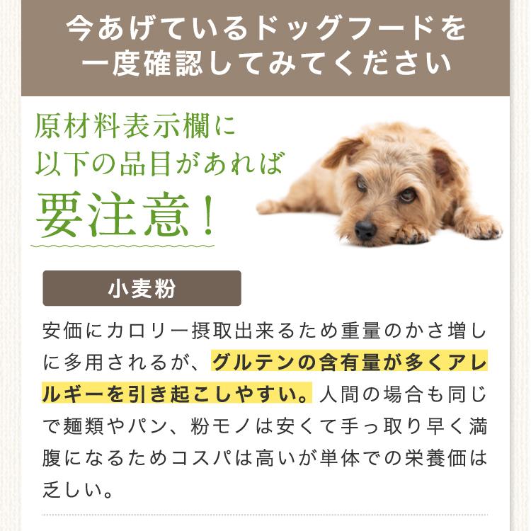 国産 無添加 小型犬 ドッグフード ピュアミール ドッグお試しパック100g 送料無料 Pmd100 ピュアミール Yahoo 店 通販 Yahoo ショッピング