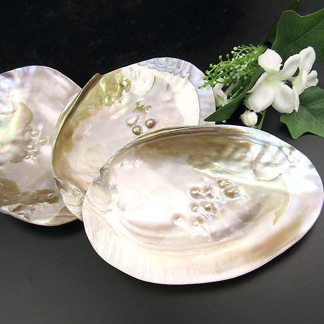 天然石 浄化用皿 イケチョウ貝 パールシェル プレート さざれ石 セージ 皿 天然貝殻 天然石 パワーストーン ブレスレットの浄化用 I4802 Pure Pure ピュアピュア 通販 Yahoo ショッピング