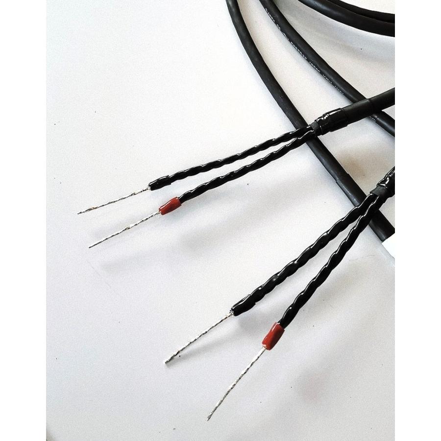 X-XRX 高性能・高音質スピーカーケーブル3m2本セット 世界最強 X-XRX 高性能・高音質スピーカーケーブル3m2本セット 世界最強