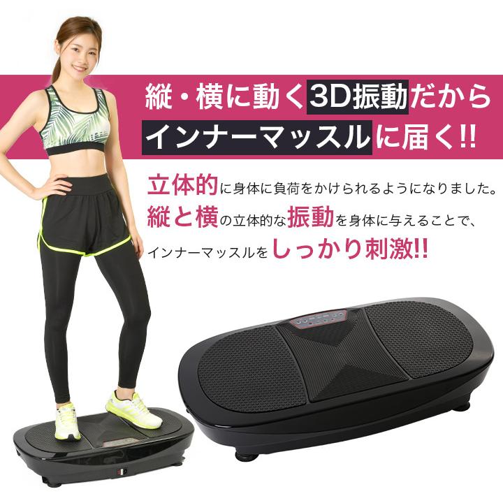 RAJA 3D FIT SLIMMER 振動マシン ブルブルマシン 付属品 完品 振動 