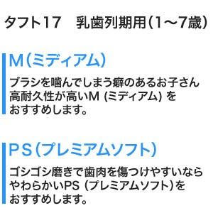 【メール便】【送料無料】オーラルケア タフト17　歯ブラシ 10本セット [M便 10/25]｜purerise｜03