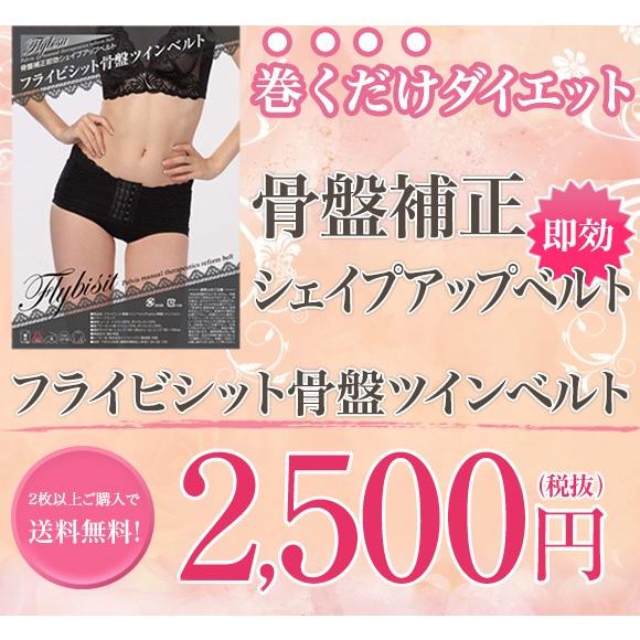 お得な2枚セット 骨盤補正 補正下着 産後 骨盤 骨盤ベルト 補正 レディース 女性 着圧 1位 最強 ショーツ 口コミ フライビシット骨盤ツインベルト Flybi Twin 172 Brack Y New 2set リンパマッサージのピュアシーク 通販 Yahoo ショッピング
