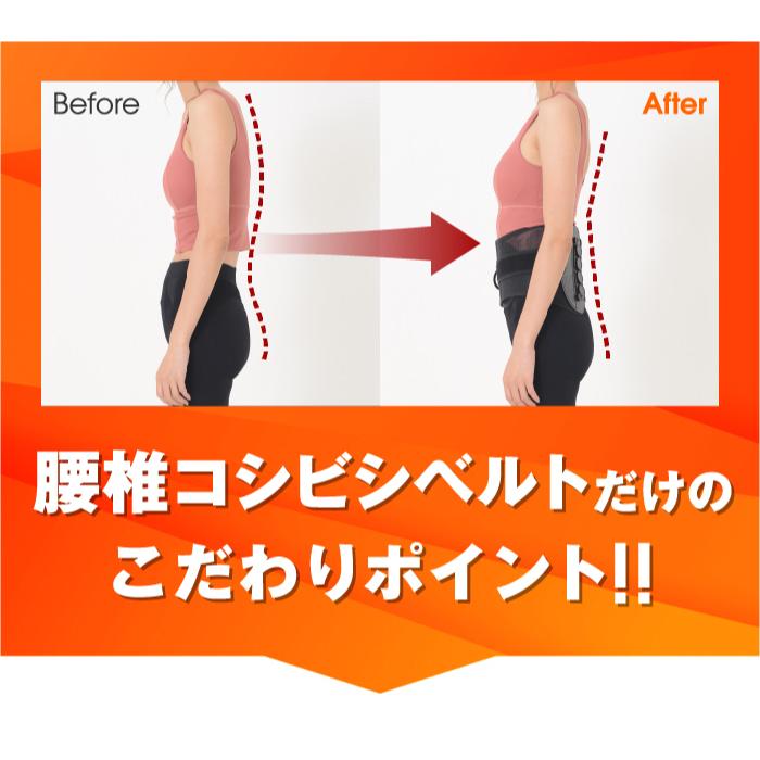 ガードナーベルト 2個セット 腰痛ベルト 骨盤ベルト 女性 男性