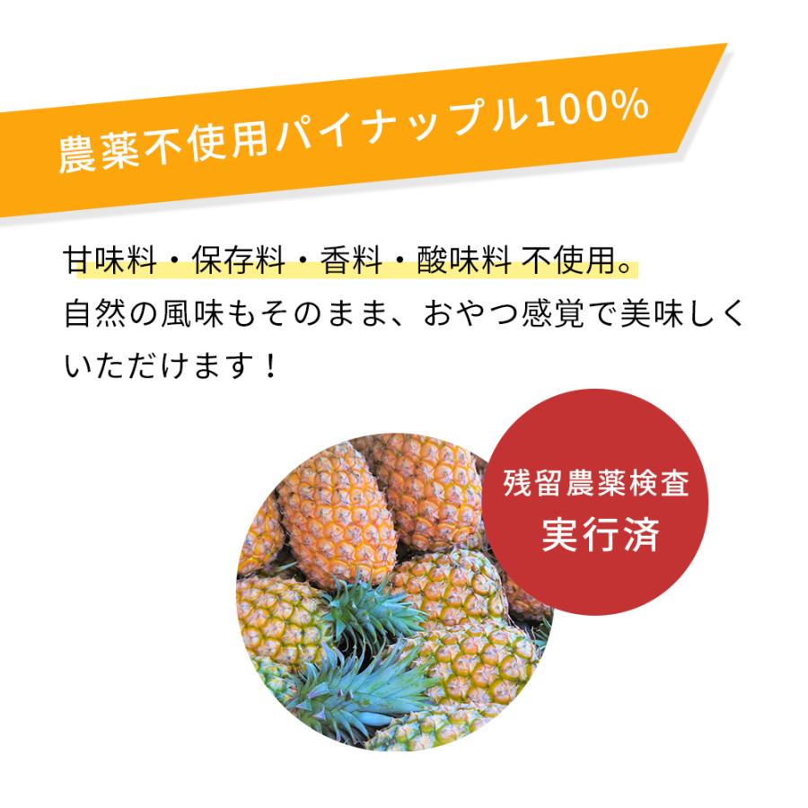 Well UP パイナップル発酵酵素 108包 試してみた】ロエル Well Up