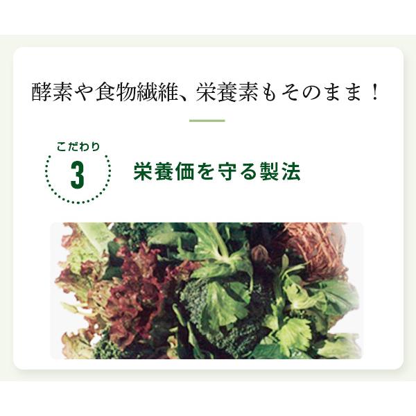青汁 ベジパワープラス (60包) 3箱セット アビオス公式 無添加 非加熱 ローフード 乳酸菌 野菜不足 無農薬 グルテンフリー 砂糖不使用_10