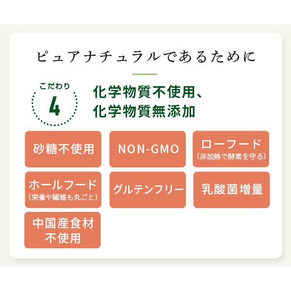 青汁 ベジパワープラス (60包) 3箱セット アビオス公式 無添加 非加熱 ローフード 乳酸菌 野菜不足 無農薬 グルテンフリー 砂糖不使用_12