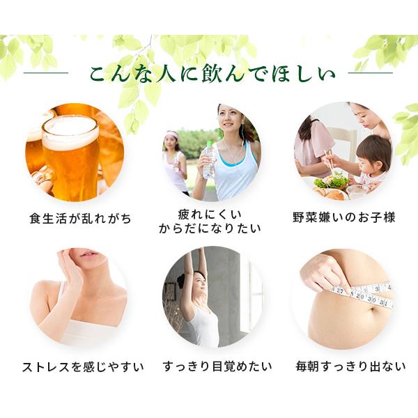 青汁 ベジパワープラス (60包) 3箱セット アビオス公式 無添加 非加熱 ローフード 乳酸菌 野菜不足 無農薬 グルテンフリー 砂糖不使用_13