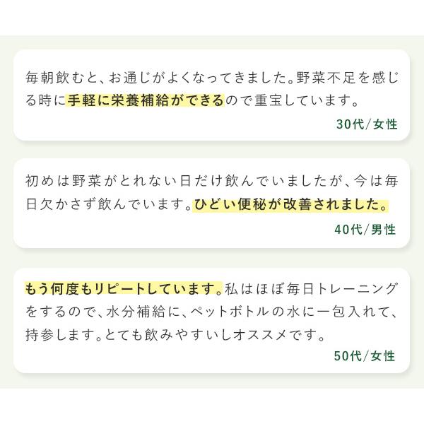 青汁 ベジパワープラス (60包) 3箱セット アビオス公式 無添加 非加熱 ローフード 乳酸菌 野菜不足 無農薬 グルテンフリー 砂糖不使用_3