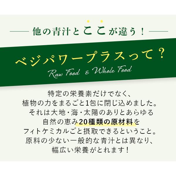 青汁 ベジパワープラス (60包) 3箱セット アビオス公式 無添加 非加熱 ローフード 乳酸菌 野菜不足 無農薬 グルテンフリー 砂糖不使用_6