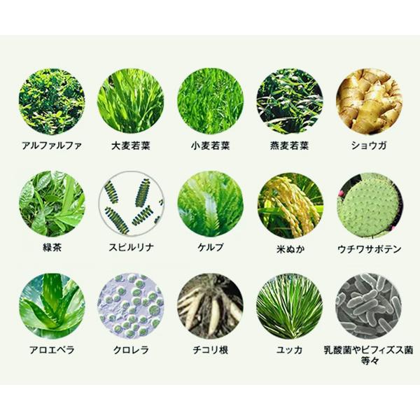 青汁 ベジパワープラス (60包) 3箱セット アビオス公式 無添加 非加熱 ローフード 乳酸菌 野菜不足 無農薬 グルテンフリー 砂糖不使用_7