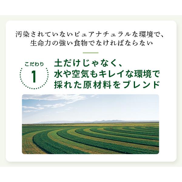 青汁 ベジパワープラス (60包) 3箱セット アビオス公式 無添加 非加熱 ローフード 乳酸菌 野菜不足 無農薬 グルテンフリー 砂糖不使用_8