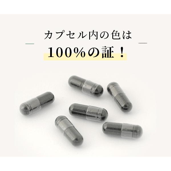 abios サプリメント アサイー100 (90粒) 2個セット アビオス公式