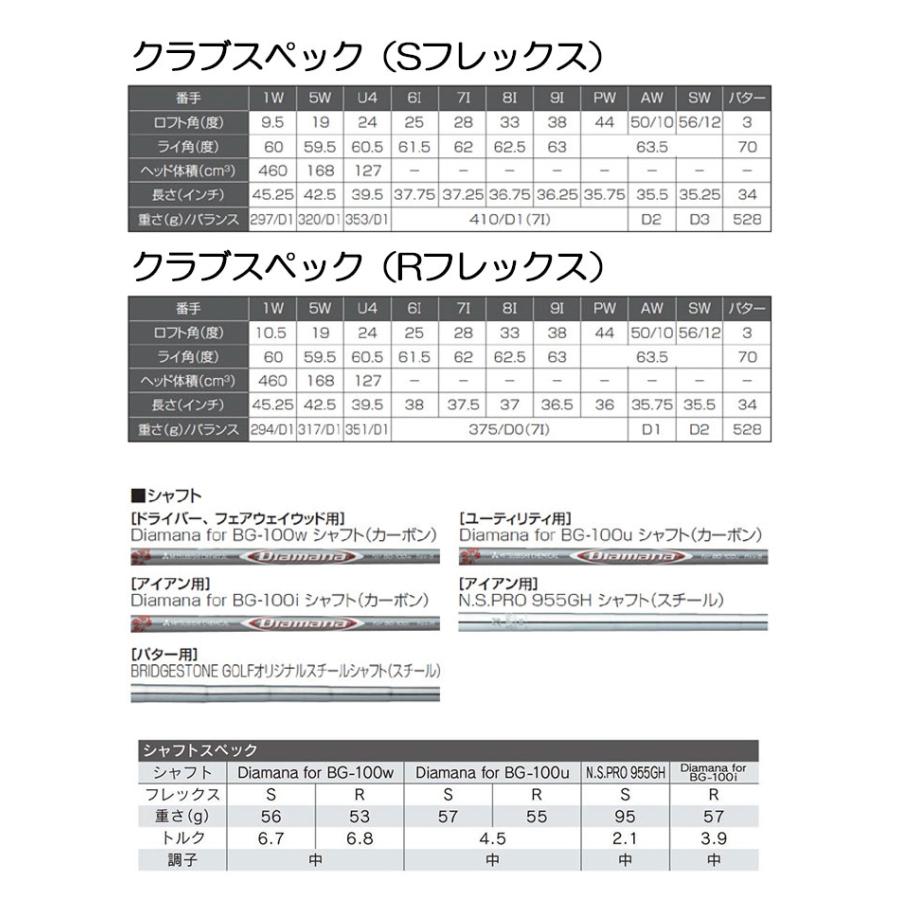 BRIDGESTONE GOLF ブリヂストン ゴルフ BG-100 ゴルフクラブ