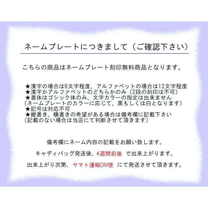 ブリヂストン ゴルフ ネームタグ ネームプレート ネームタッグ アクリル TGG110 ベルト付属｜puresuto｜07