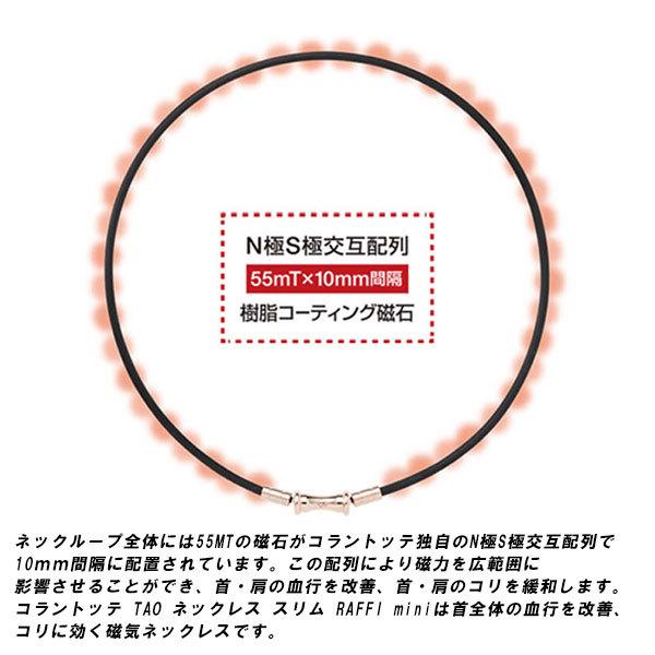 Colantotte コラントッテ Taoネックレス Raffi Mini 永久磁石の医療機器 エレガントに さりげなく 磁気の効果を体感できるミニタイプの磁気ネックレス Tao ネックレス スリム ラフィ ミニ ブラックxシルバー 磁気ネックレス 健康 肩こり 血行 磁石 頭痛 超特価sale開催