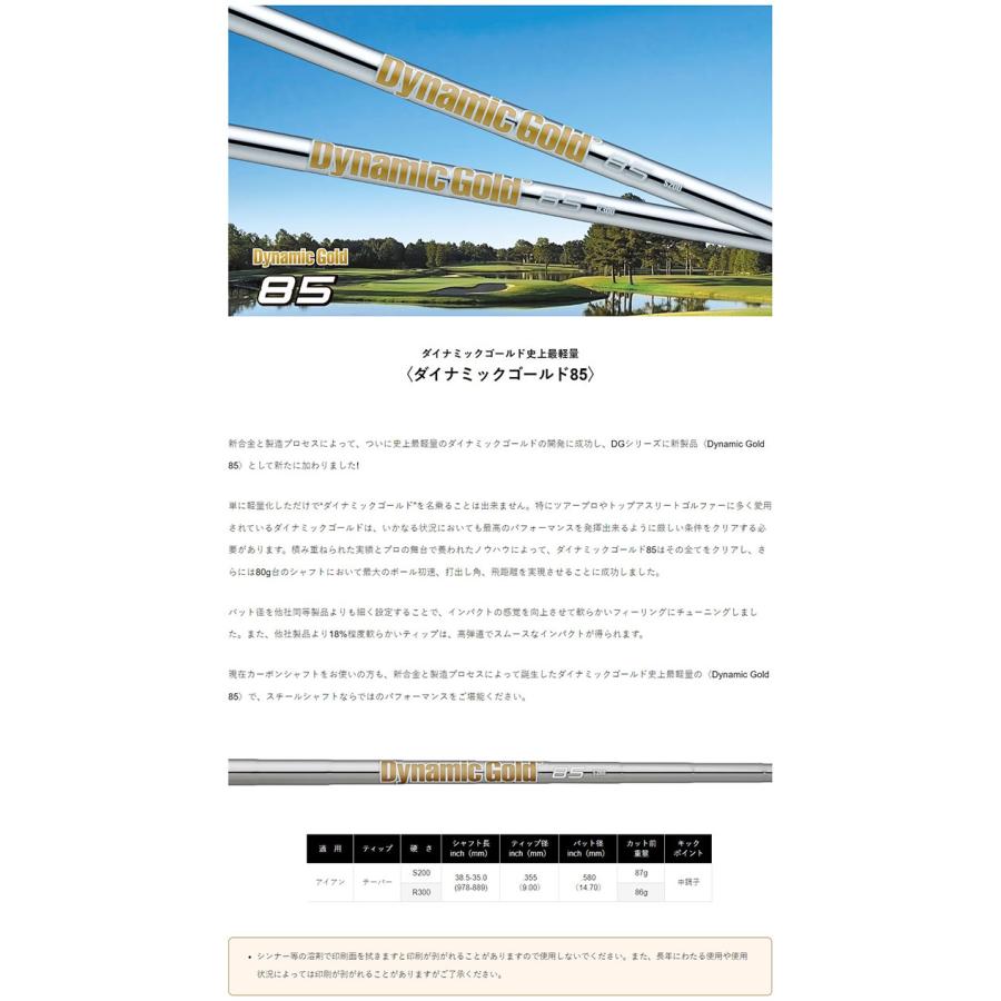ZXi 【カラーカスタム】ダンロップ スリクソン ZXi4 アイアン 単品