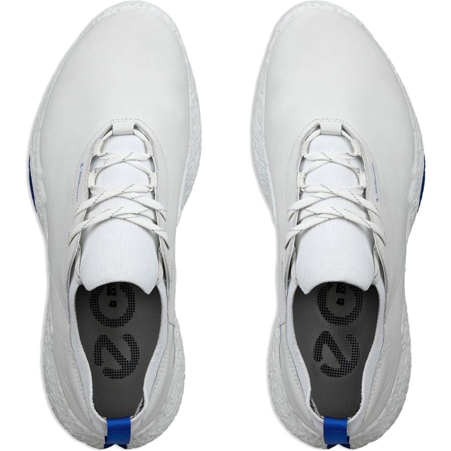 ecco M GOLF BIOM H5 XTENSO 防水スパイクレス　43 ecco M GOLF BIOM H5 XTENSO 防水スパイクレス 43 ecco M GOLF