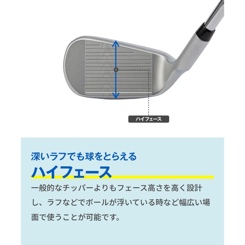 新商品ドルフィンウェッジ DFW225 55度 スチール　34インチ　正規品 Dolphin Wedge キャスコ ドルフィン フライングウェッジ DFW-225