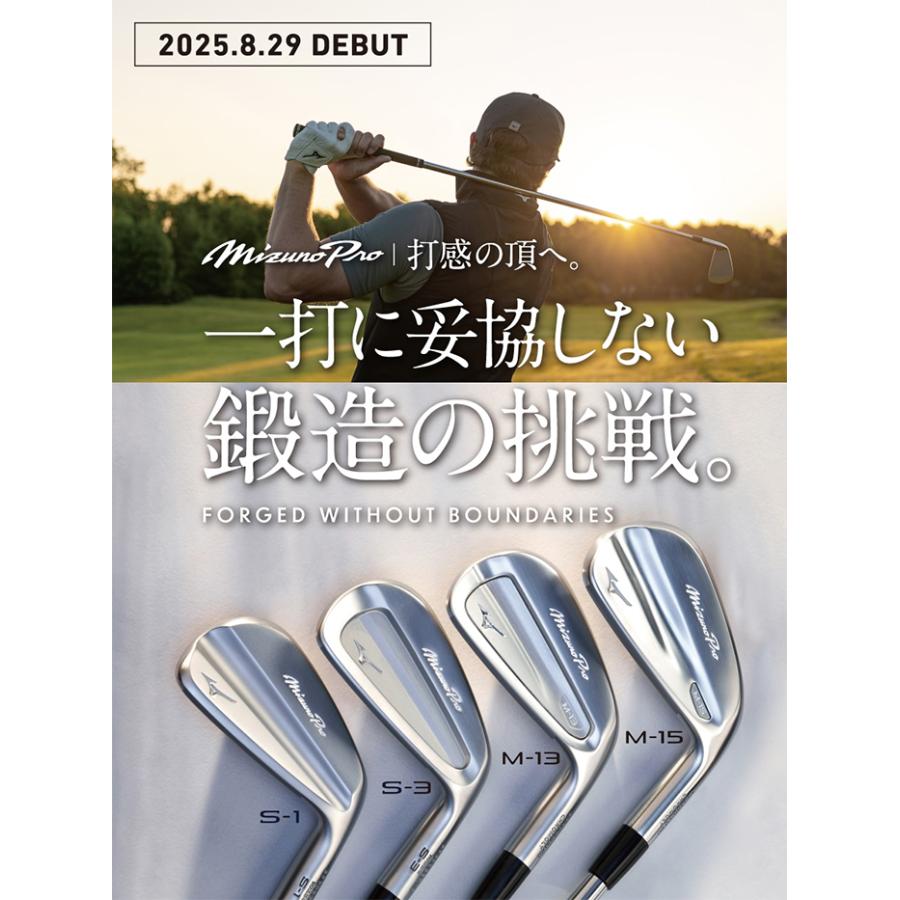 MIZUNO GOLF ミズノ Mizuno Pro M-15 アイアン 単品（No.4、GW）NS PRO
