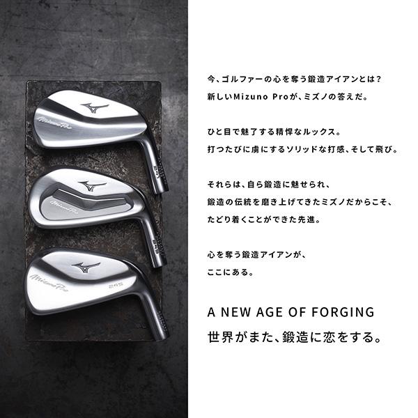 Mizuno Pro ミズノ 243 アイアン 単品(No.4、GW)Dynamic Gold 120 
