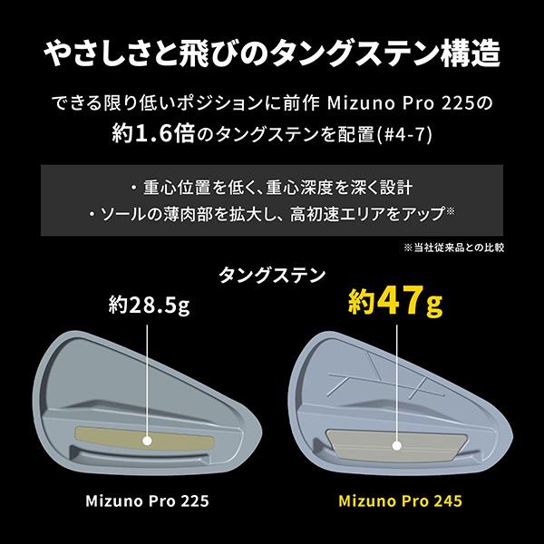 Mizuno Pro ミズノ 245 アイアン 単品(No.4、GW)Dynamic Gold 95