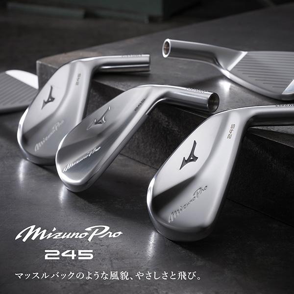Mizuno Pro ミズノ 245 アイアン 単品(No.4、GW)Dynamic Gold 95