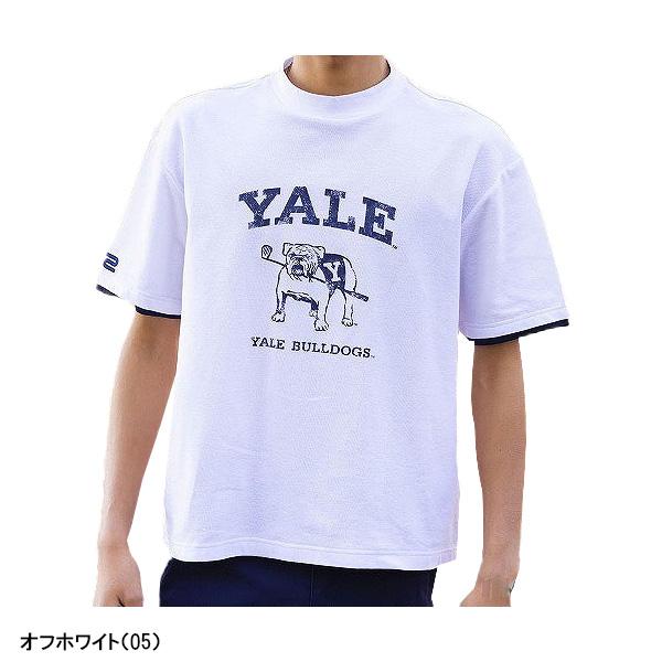 Rosasen ロサーセン ロサーゼン　半袖 モックネック シャツ Tシャツ ROSASEN［ロサーセン］PHOTO PRINT MOCK NECK /クールコアバック