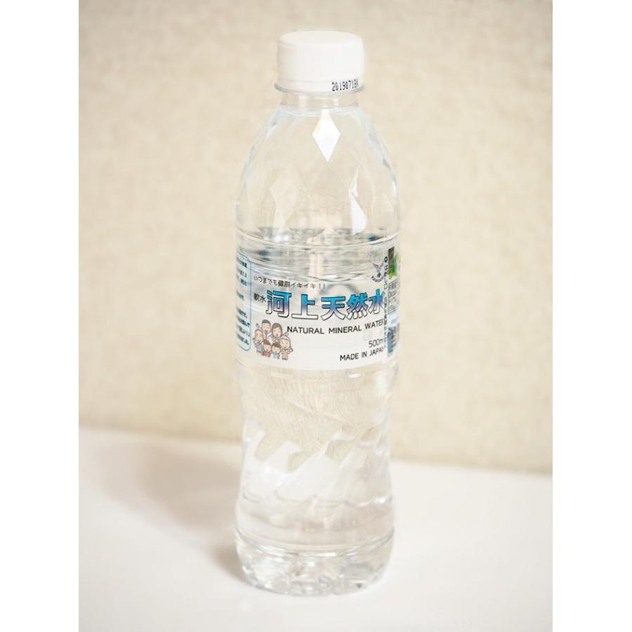ナチュラルミネラルウォーター　河上天然水　500ｍｌ×24本×２ケース【お水のソムリエ（アクアソムリエ）御用達！】 | 