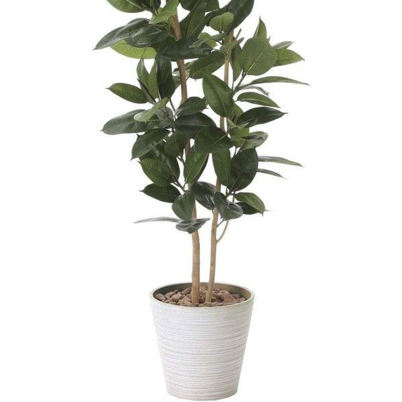 人気デザイナー光触媒 光の楽園ゴムの木1.6mインテリアグリーン 人工観葉植物 観葉植物 光触媒 人工観葉植物 光の楽園 グレープツリー 1.5m 359B350