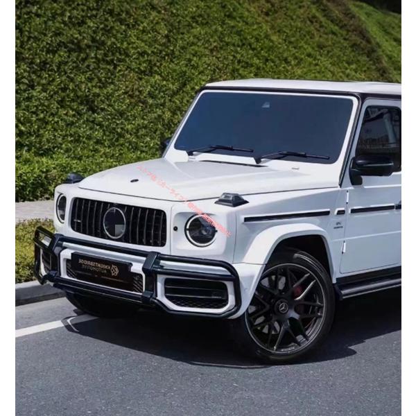 メルセデス ベンツ BENZ Gクラス W463A 2019年以降 ゲレンデ G63/65 フロントバンパー用 グリルガード 選べる2色の画像