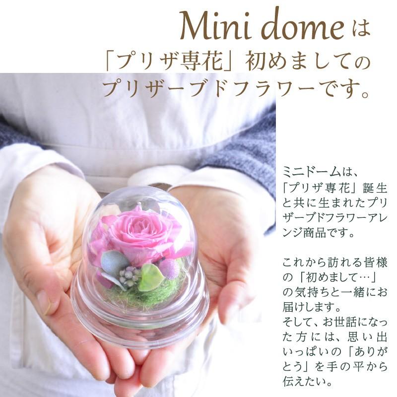 誕生日 花 プレゼント プリザーブドフラワー 敬老の日 クリスマス 記念日 結婚祝い 出産祝い 新築祝い 退職祝い母の日 長寿 ノベルティ 粗品 景品 ミニドーム |  | 12