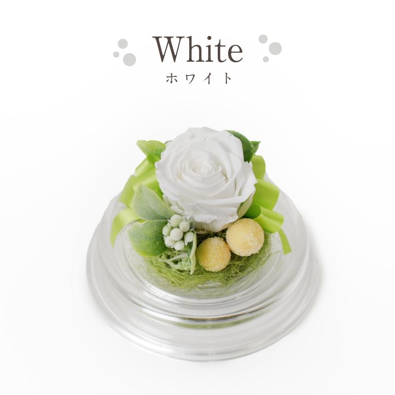 誕生日 花 プレゼント プリザーブドフラワー 敬老の日 クリスマス 記念日 結婚祝い 出産祝い 新築祝い 退職祝い母の日 長寿 ノベルティ 粗品 景品 ミニドーム |  | 11