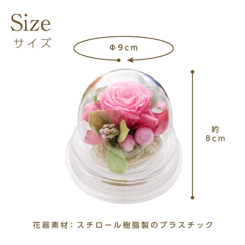 誕生日 花 プレゼント プリザーブドフラワー 敬老の日 クリスマス 記念日 結婚祝い 出産祝い 新築祝い 退職祝い母の日 長寿 ノベルティ 粗品 景品 ミニドーム |  | 14