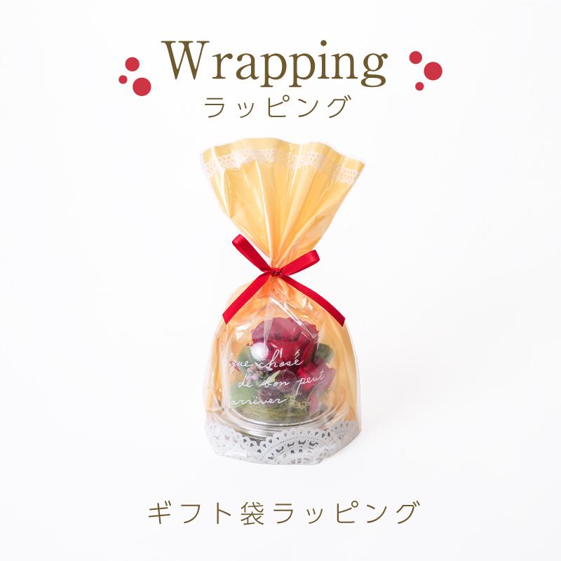 誕生日 花 プレゼント プリザーブドフラワー 敬老の日 クリスマス 記念日 結婚祝い 出産祝い 新築祝い 退職祝い母の日 長寿 ノベルティ 粗品 景品 ミニドーム |  | 15