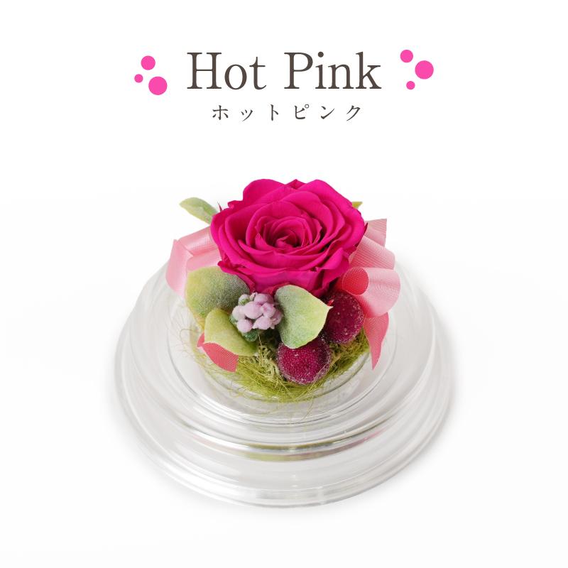 誕生日 花 プレゼント プリザーブドフラワー 敬老の日 クリスマス 記念日 結婚祝い 出産祝い 新築祝い 退職祝い母の日 長寿 ノベルティ 粗品 景品 ミニドーム |  | 02