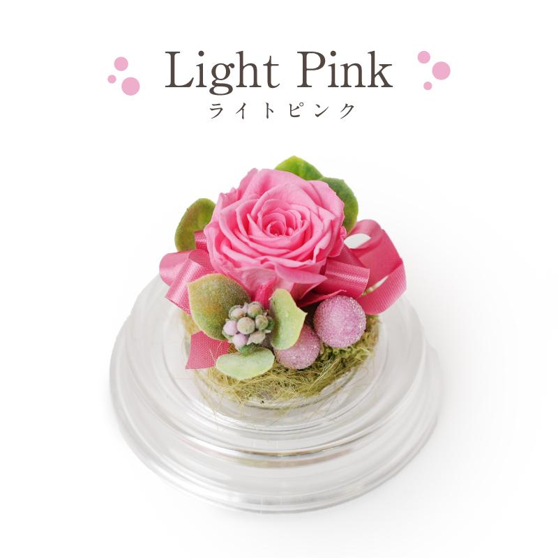 誕生日 花 プレゼント プリザーブドフラワー 敬老の日 クリスマス 記念日 結婚祝い 出産祝い 新築祝い 退職祝い母の日 長寿 ノベルティ 粗品 景品 ミニドーム |  | 03