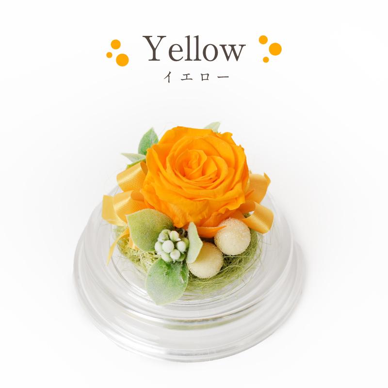 母の日 誕生日 花 プレゼント プリザーブドフラワー 敬老の日