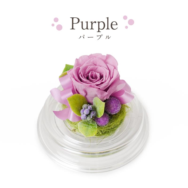 誕生日 花 プレゼント プリザーブドフラワー 敬老の日 クリスマス 記念日 結婚祝い 出産祝い 新築祝い 退職祝い母の日 長寿 ノベルティ 粗品 景品 ミニドーム |  | 07