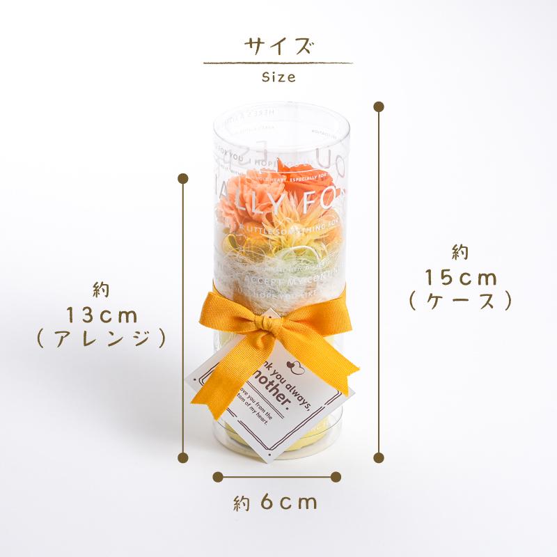 プリザーブドフラワー 誕生日 花 プレゼント 母の日 結婚 出産 内祝い 新築祝い 退職祝い 送別 お礼 記念日 チェリッシュ |  | 06