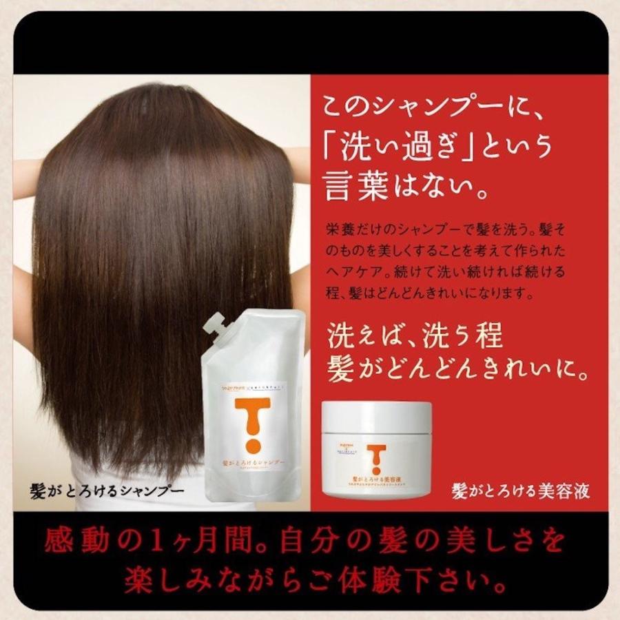 髪がとろけるシャンプー 250ml 圧倒的な量の栄養成分をアナタの髪の内部にお届けします Kt 000s プーロビュー 通販 Yahoo ショッピング