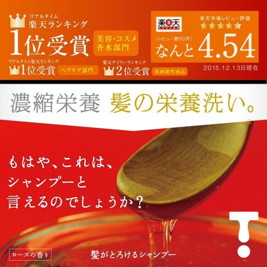 髪がとろけるシャンプー 250ml ヘアパック 0g ノンシリコンシャンプーセット Kt 00sp プーロビュー 通販 Yahoo ショッピング