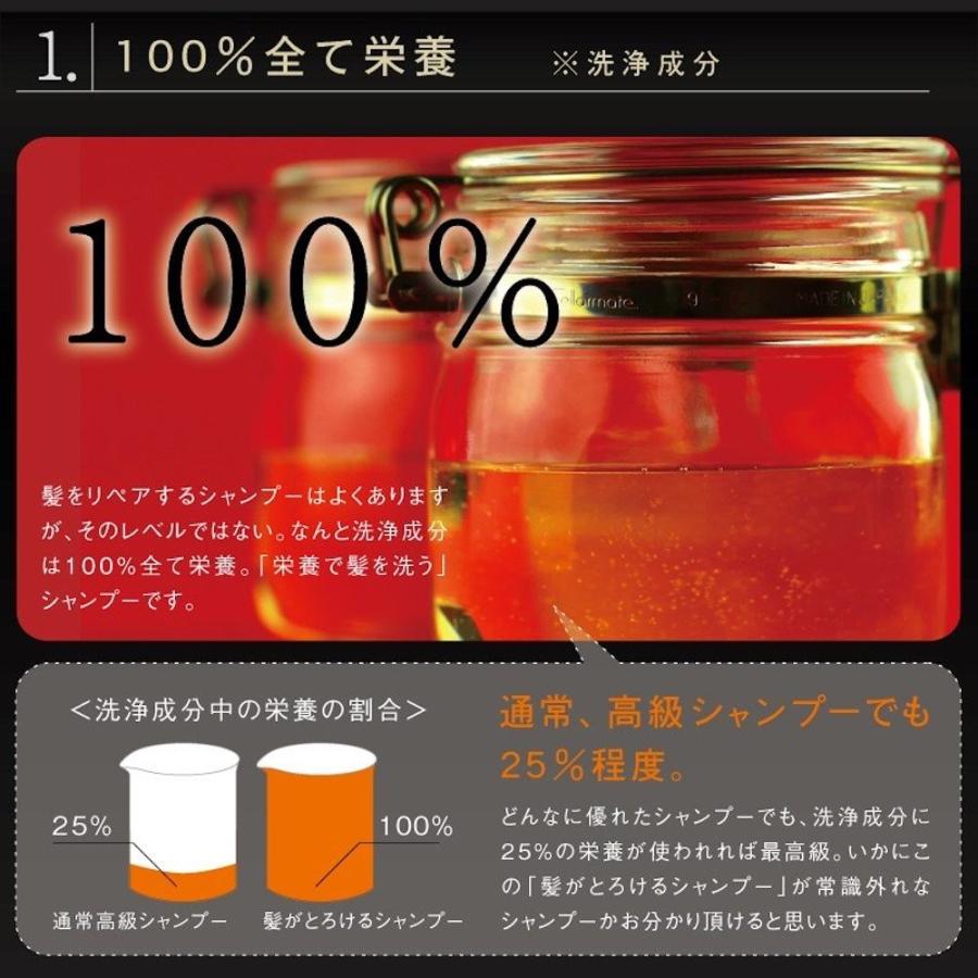 髪がとろけるシャンプー 250ml ヘアパック 0g ノンシリコンシャンプーセット Kt 00sp プーロビュー 通販 Yahoo ショッピング