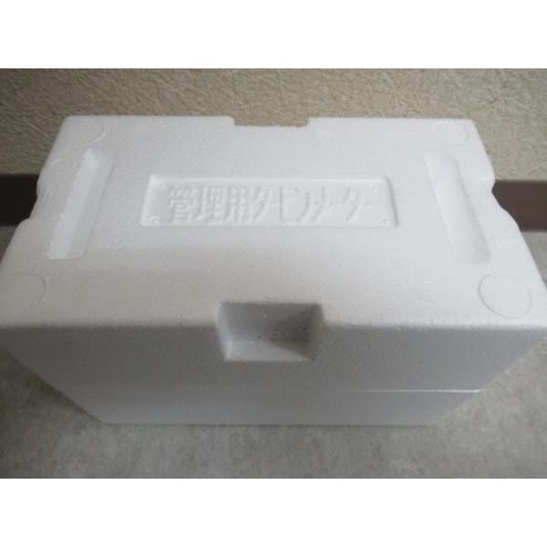 愛知時計電機 管理用タービンメーター TBX-100(L) 新品 北海道 愛知時計電機 管理用タービンメーター TBX-100(L) 新品 北海道